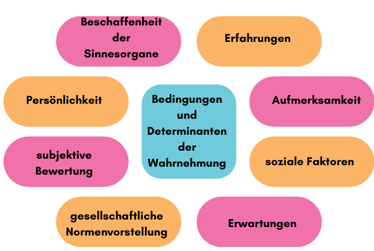 Bedingungen-und-Determinanten-der-Wahrnehmung